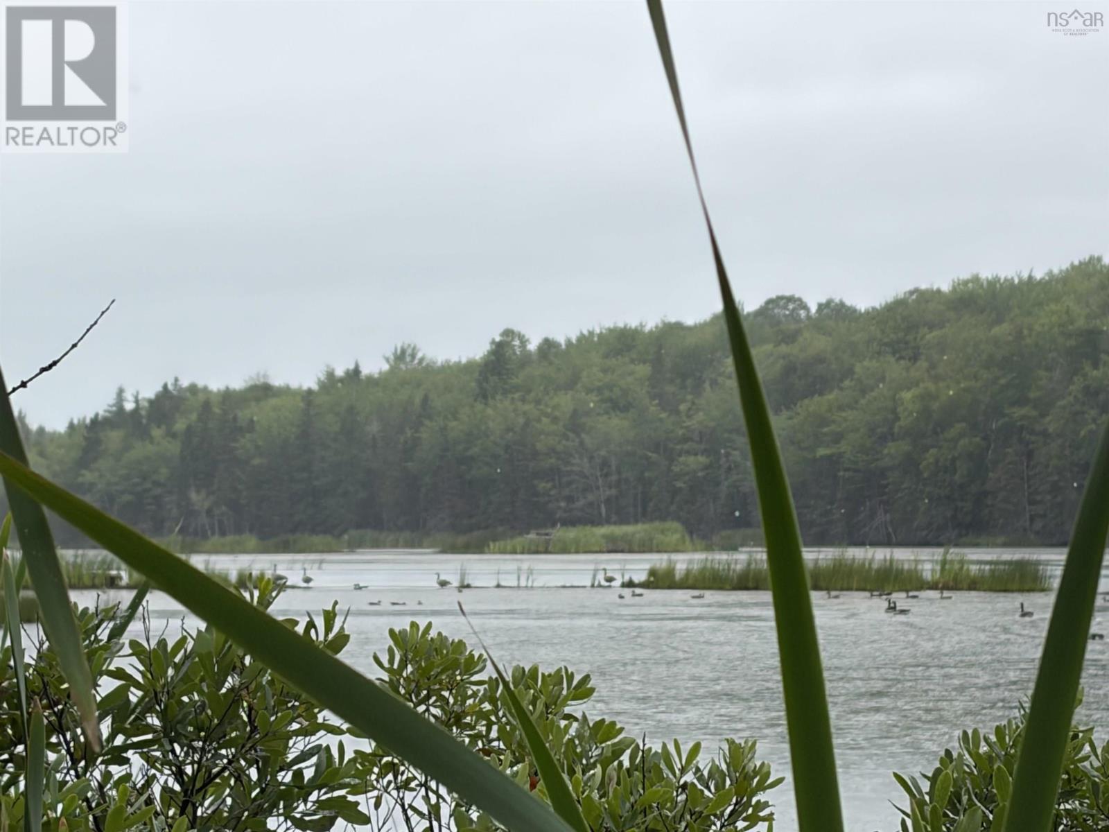 0 Southside River Denys Rd, Valley Mills, Nova Scotia  B0E 2Y0 - Photo 10 - 202621434