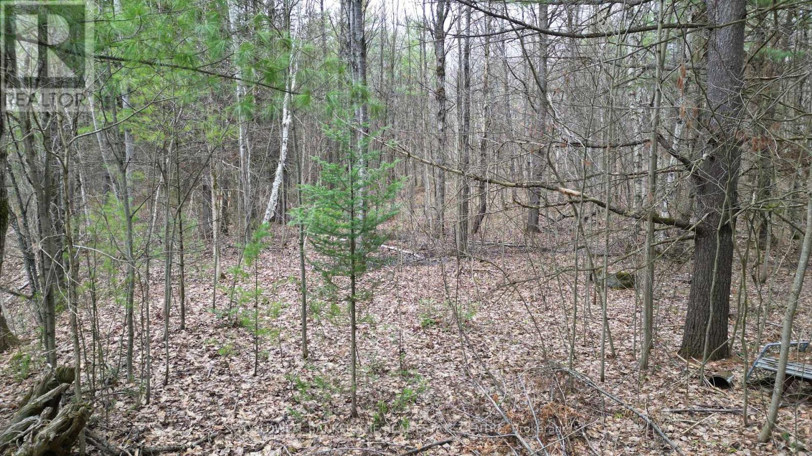 2493 Housey's Rapids Road, Kawartha Lakes, Ontario  L0K 2B0 - Photo 10 - X13709790