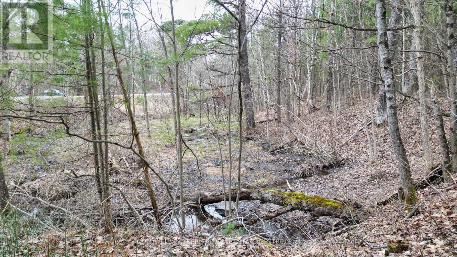 2493 Housey's Rapids Road, Kawartha Lakes, Ontario  L0K 2B0 - Photo 11 - X13709790