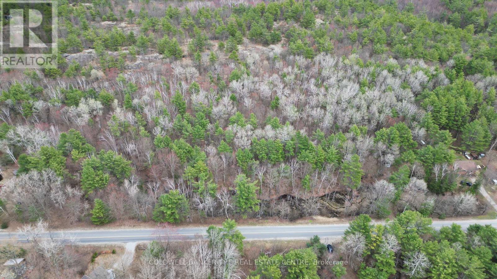 2493 Housey's Rapids Road, Kawartha Lakes, Ontario  L0K 2B0 - Photo 14 - X13709790
