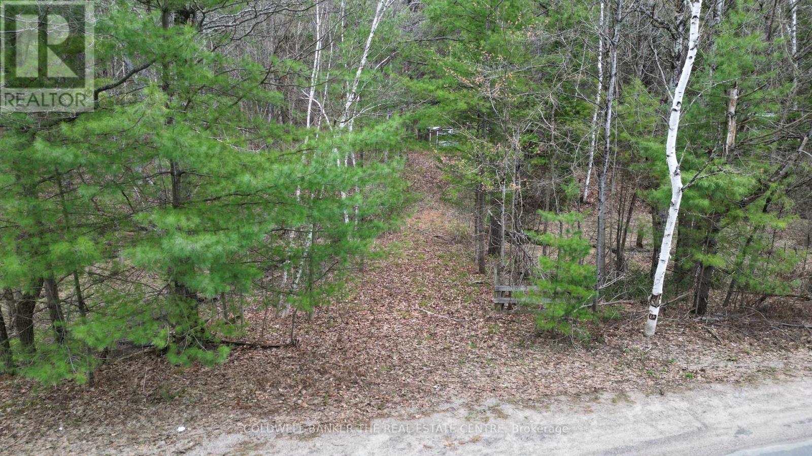 2493 Housey's Rapids Road, Kawartha Lakes, Ontario  L0K 2B0 - Photo 5 - X13709790