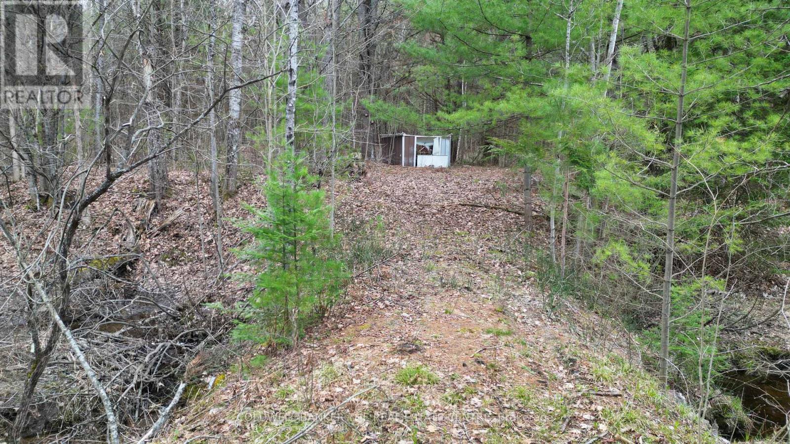 2493 Housey's Rapids Road, Kawartha Lakes, Ontario  L0K 2B0 - Photo 6 - X13709790