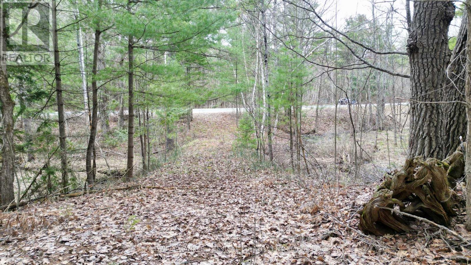2493 Housey's Rapids Road, Kawartha Lakes, Ontario  L0K 2B0 - Photo 7 - X13709790