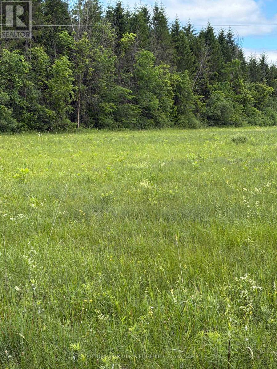 00 Branch Road, Augusta, Ontario K0G 1R0 - Photo 6 - X13709528