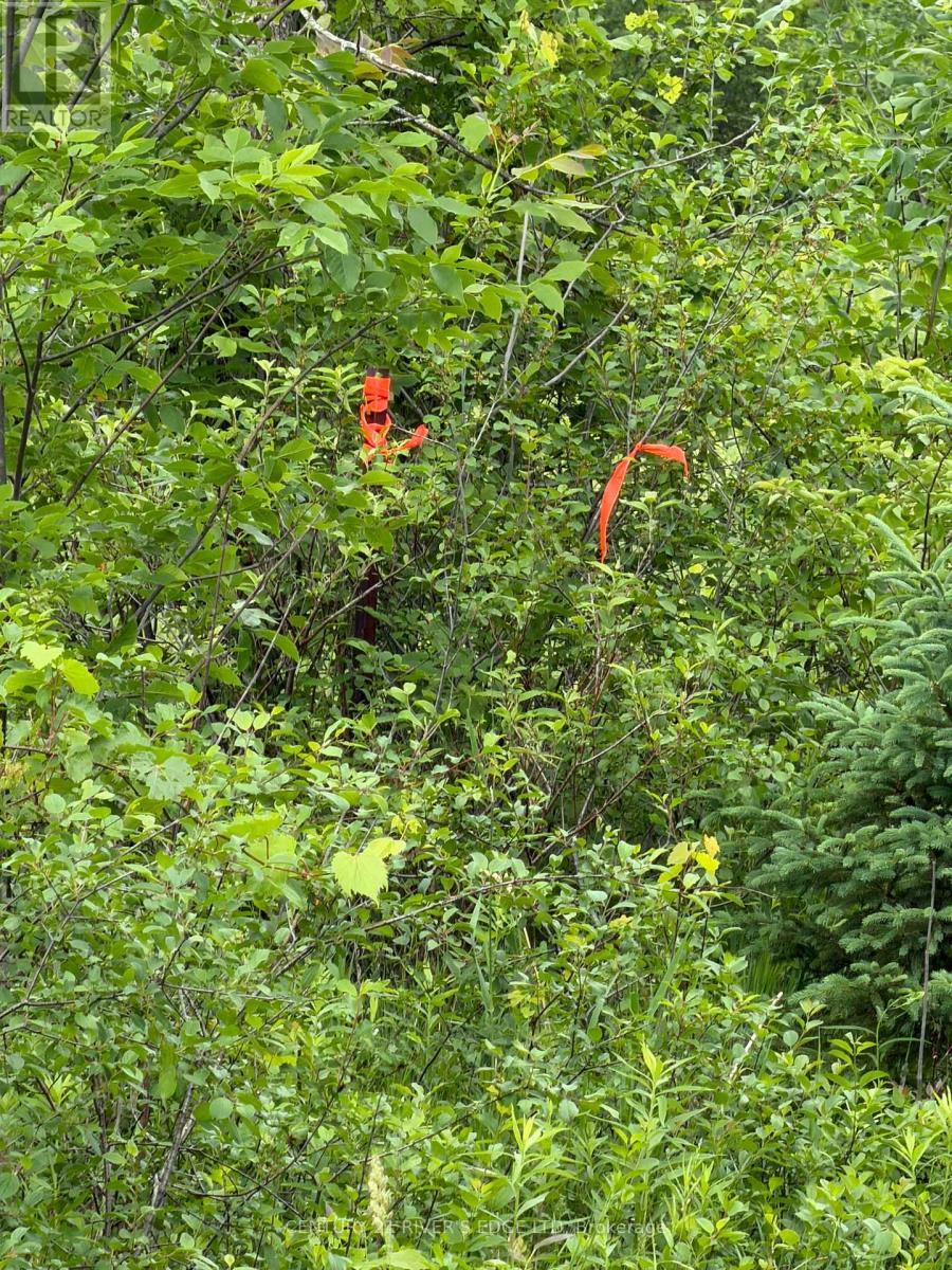 00 Branch Road, Augusta, Ontario K0G 1R0 - Photo 11 - X13709528