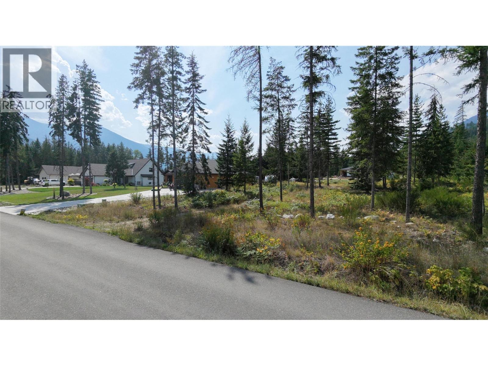 Lot 4 Queens Bay Road, Balfour, British Columbia  V0G 1C0 - Photo 17 - 10398630
