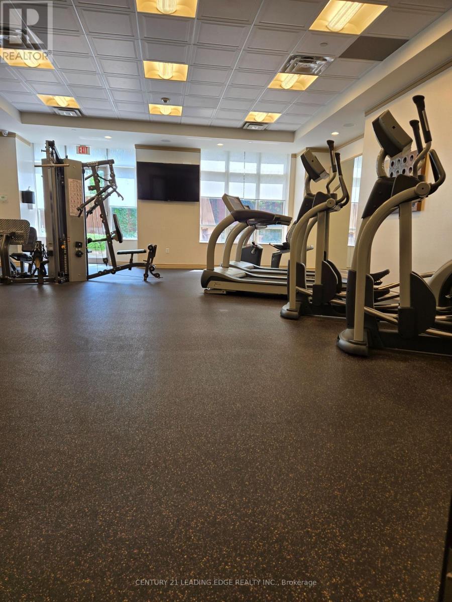 308 - 10101 Yonge Street, Richmond Hill, Ontario  L4C 0V6 - Photo 40 - N13710026