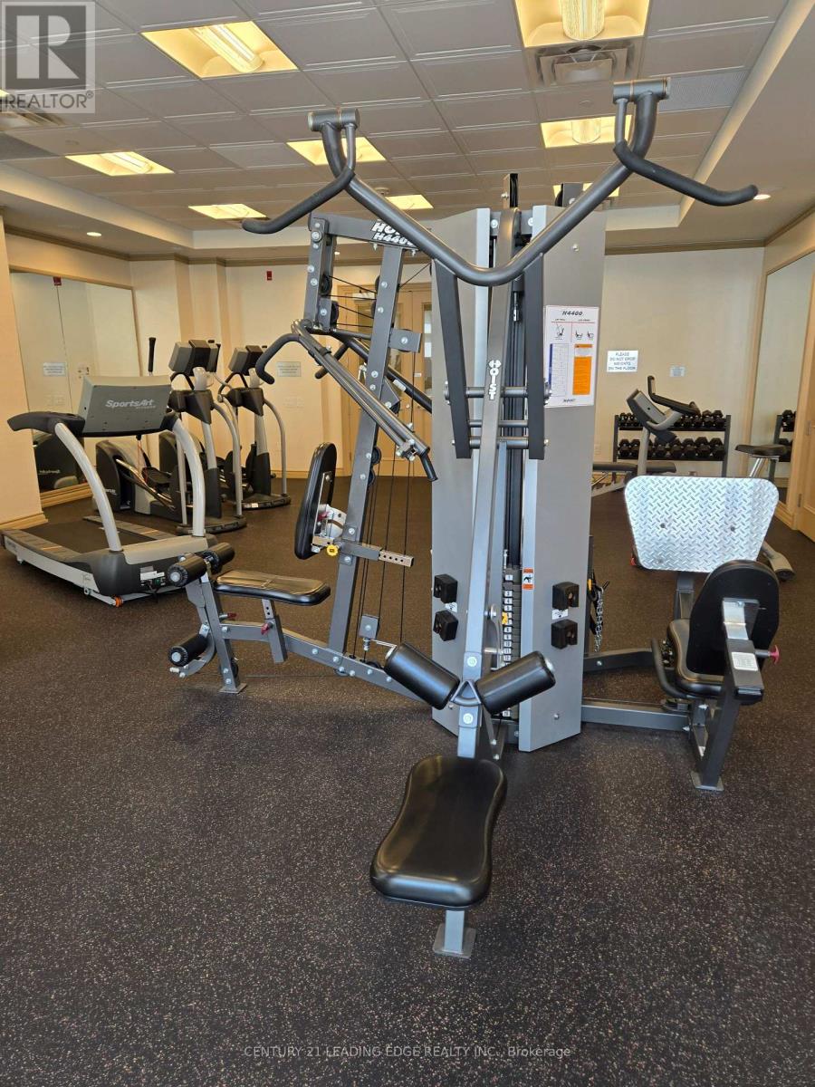 308 - 10101 Yonge Street, Richmond Hill, Ontario  L4C 0V6 - Photo 43 - N13710026