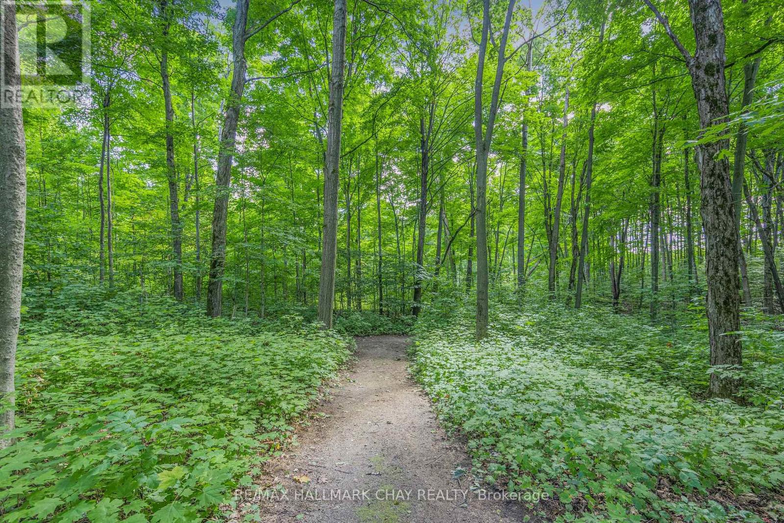 1359 Old Barrie Road E, Oro-Medonte (Hawkestone), Ontario  L0L 1T0 - Photo 50 - S13710136