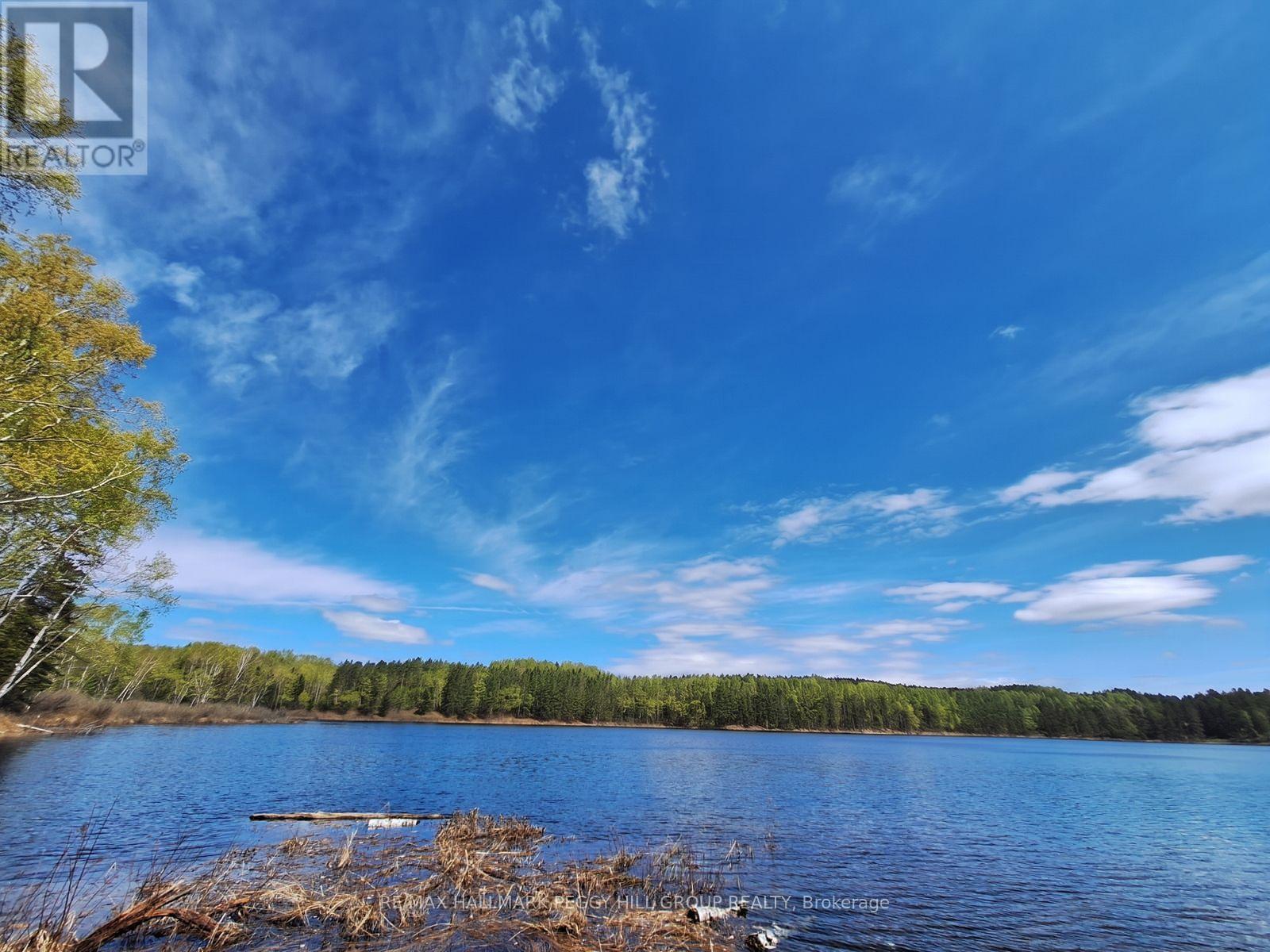 0 Pioneer Road, Unorganized Townships, Ontario  P0H 1Z0 - Photo 23 - X13415294