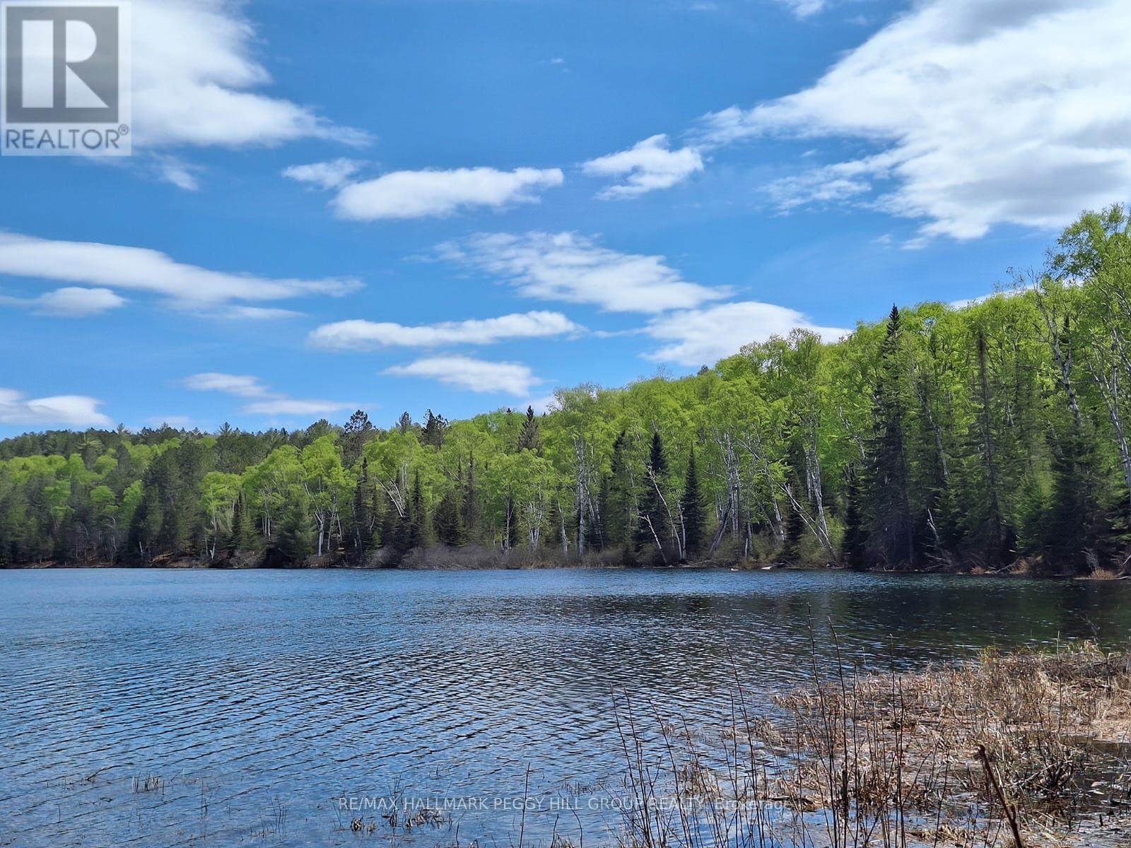 0 Pioneer Road, Unorganized Townships, Ontario  P0H 1Z0 - Photo 24 - X13415294