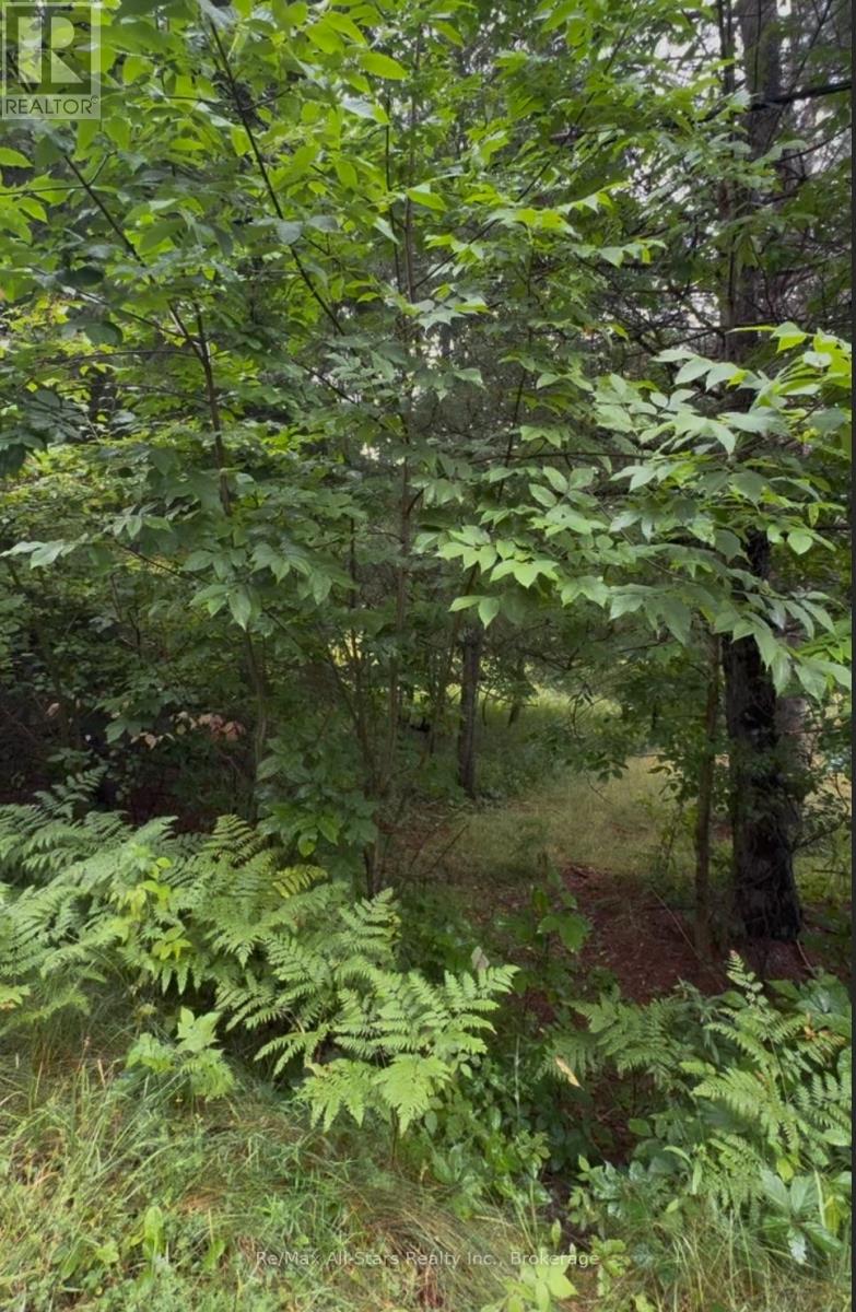 958 North Mary Lake Road, Huntsville, Ontario  P1H 1S4 - Photo 3 - X13710286