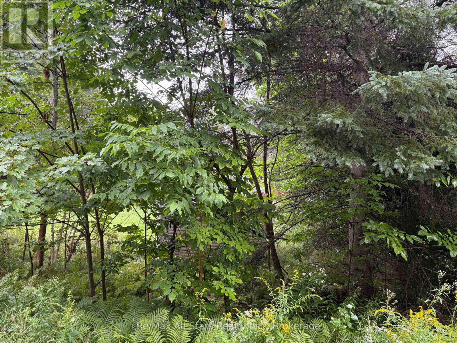 958 North Mary Lake Road, Huntsville, Ontario  P1H 1S4 - Photo 4 - X13710286