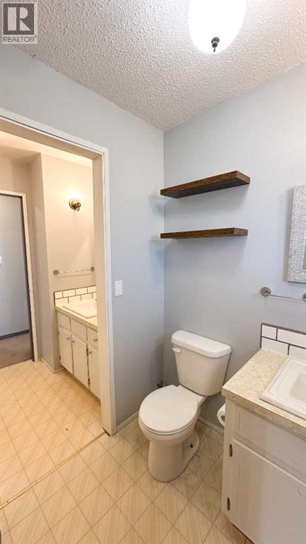 204 10 Avenue Ne, Sundre, Alberta  T0M 1X0 - Photo 21 - A2338115