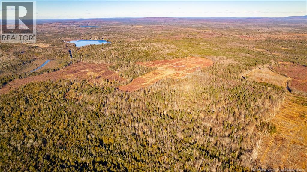 0 Boyd/clarence Ridge Road, Rollingdam, New Brunswick  E5A 2G8 - Photo 10 - NB146598