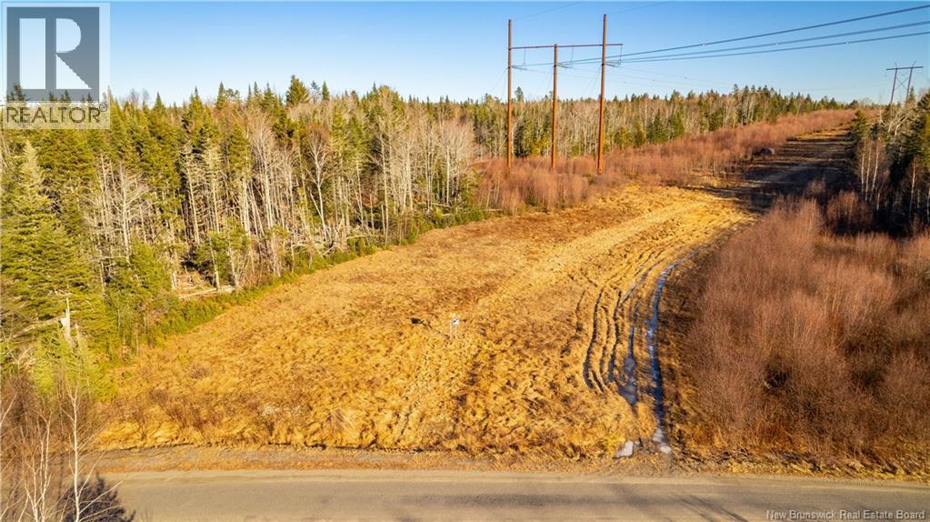 0 Boyd/clarence Ridge Road, Rollingdam, New Brunswick  E5A 2G8 - Photo 11 - NB146598