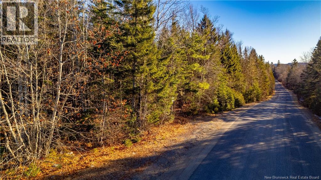 0 Boyd/clarence Ridge Road, Rollingdam, New Brunswick  E5A 2G8 - Photo 15 - NB146598