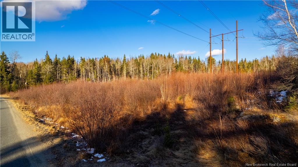 0 Boyd/clarence Ridge Road, Rollingdam, New Brunswick  E5A 2G8 - Photo 17 - NB146598