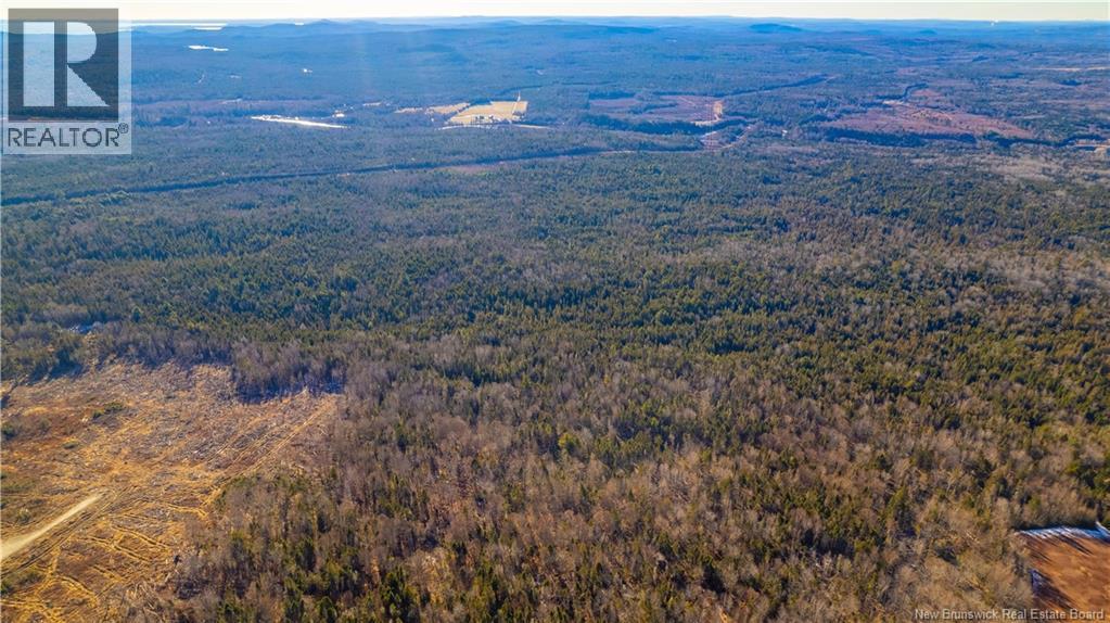 0 Boyd/clarence Ridge Road, Rollingdam, New Brunswick  E5A 2G8 - Photo 19 - NB146598