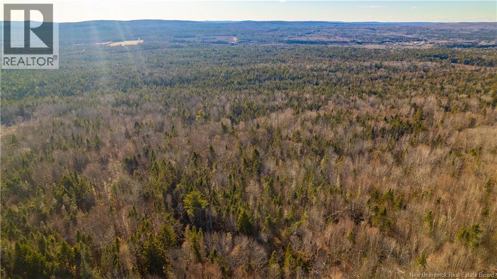 0 Boyd/clarence Ridge Road, Rollingdam, New Brunswick  E5A 2G8 - Photo 22 - NB146598