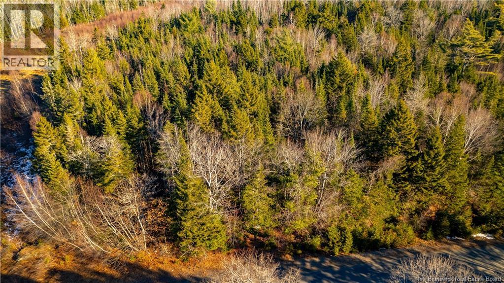 0 Boyd/clarence Ridge Road, Rollingdam, New Brunswick  E5A 2G8 - Photo 23 - NB146598