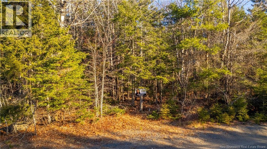 0 Boyd/clarence Ridge Road, Rollingdam, New Brunswick  E5A 2G8 - Photo 26 - NB146598