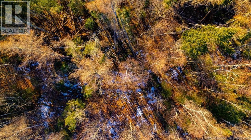 0 Boyd/clarence Ridge Road, Rollingdam, New Brunswick  E5A 2G8 - Photo 6 - NB146598