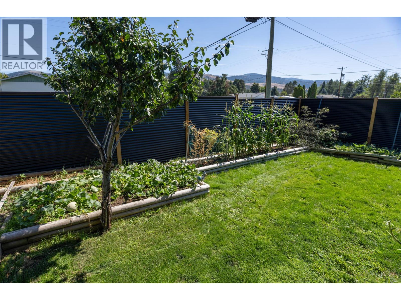 411 Gertrude Street, Midway, British Columbia  V0H 1M0 - Photo 6 - 10398715