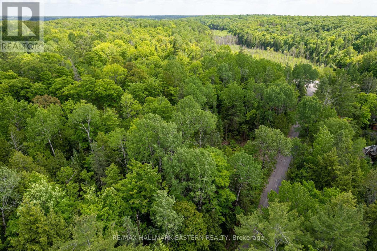 00 Johnson Road, North Kawartha, Ontario  K0L 1A0 - Photo 10 - X13710426