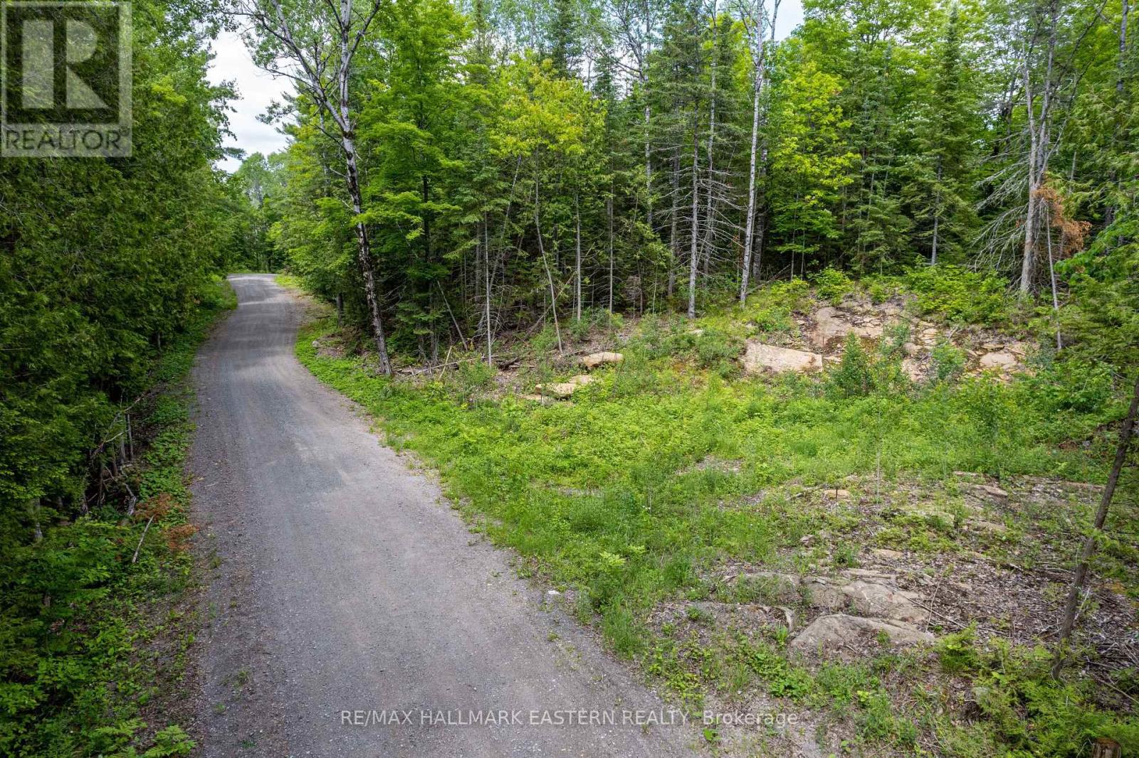 00 Johnson Road, North Kawartha, Ontario  K0L 1A0 - Photo 6 - X13710426