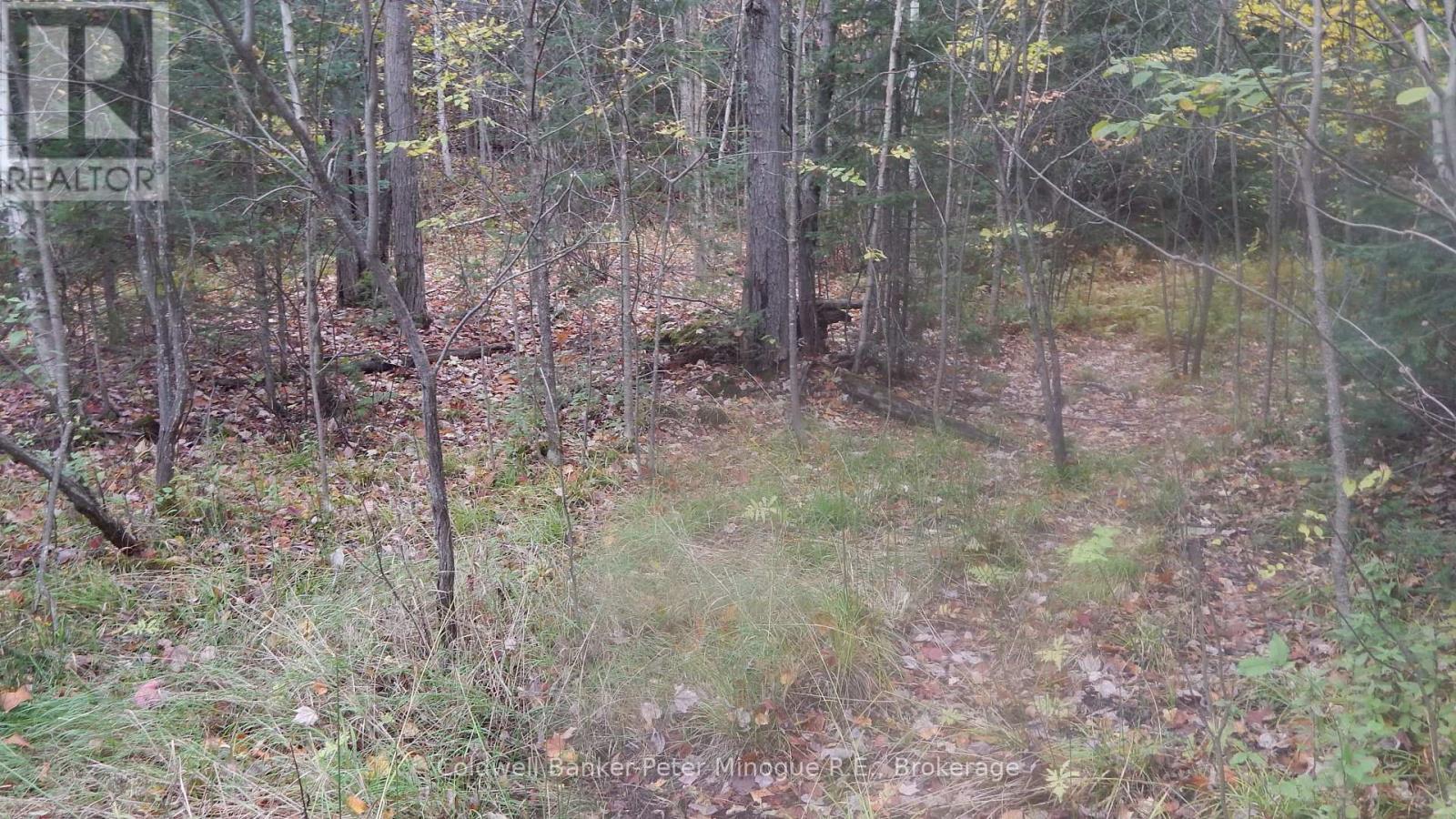 Lot 25 Development Road, Bonfield, Ontario  P0H 2E0 - Photo 10 - X13710374
