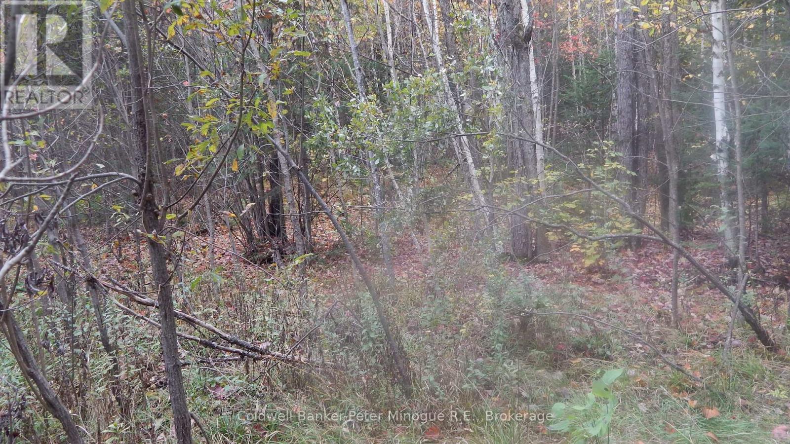Lot 25 Development Road, Bonfield, Ontario  P0H 2E0 - Photo 11 - X13710374