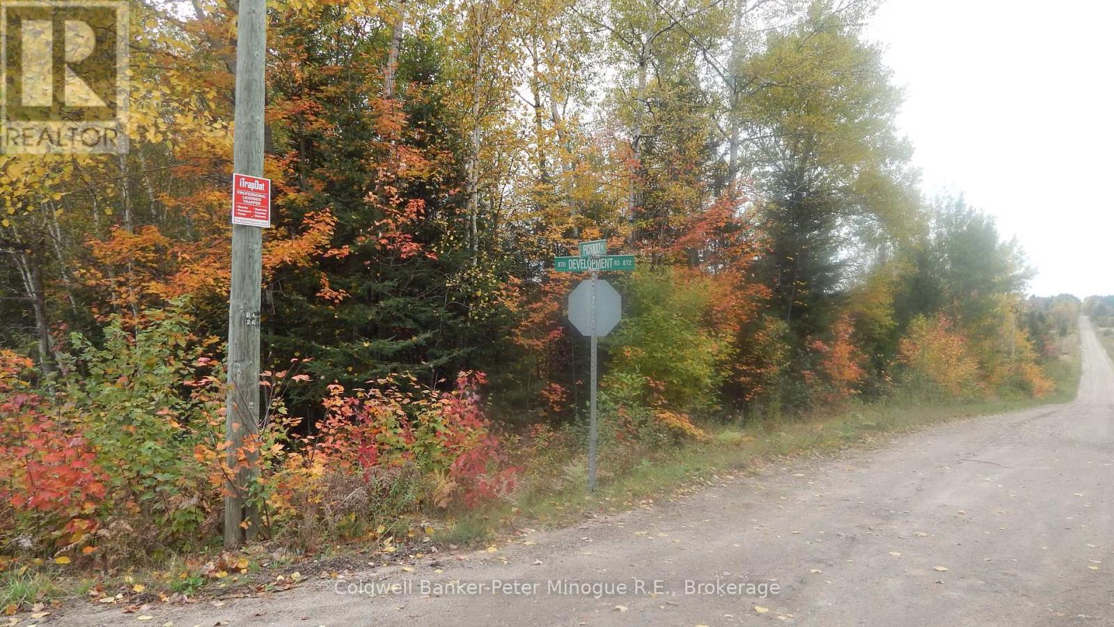 Lot 25 Development Road, Bonfield, Ontario  P0H 2E0 - Photo 4 - X13710374