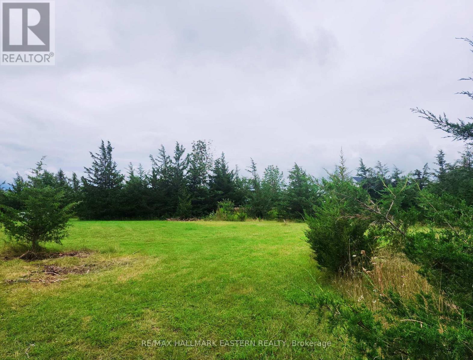 2098 13th Line E, Trent Hills, Ontario  K0K 2M0 - Photo 12 - X13710630