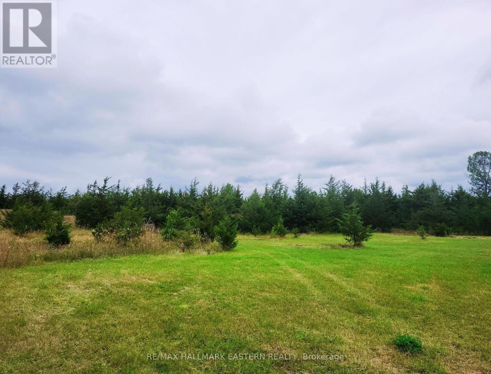 2098 13th Line E, Trent Hills, Ontario  K0K 2M0 - Photo 13 - X13710630