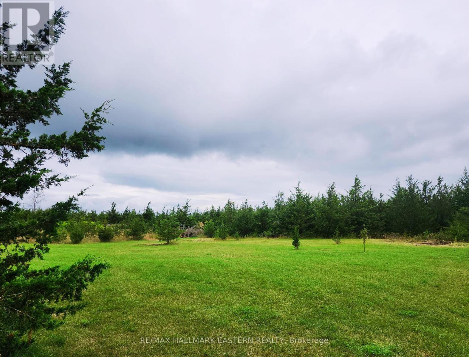 2098 13th Line E, Trent Hills, Ontario  K0K 2M0 - Photo 14 - X13710630