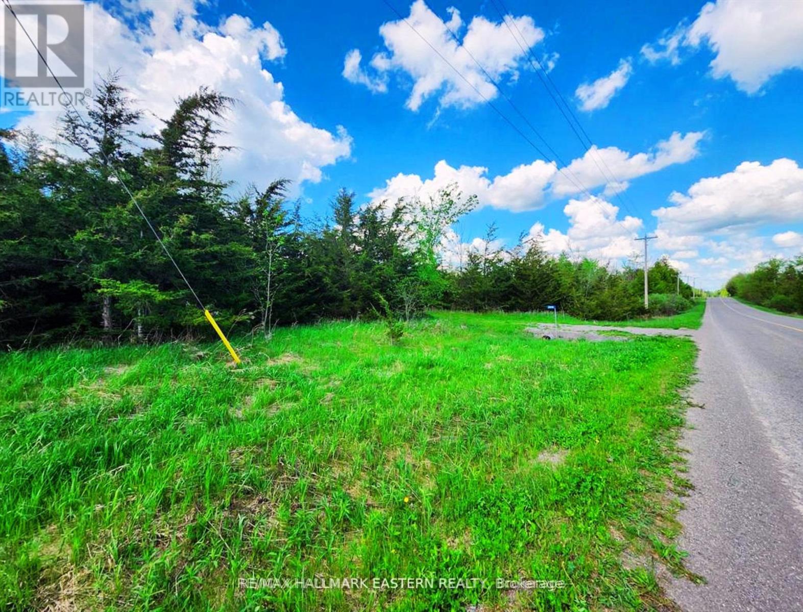 2098 13th Line E, Trent Hills, Ontario  K0K 2M0 - Photo 4 - X13710630
