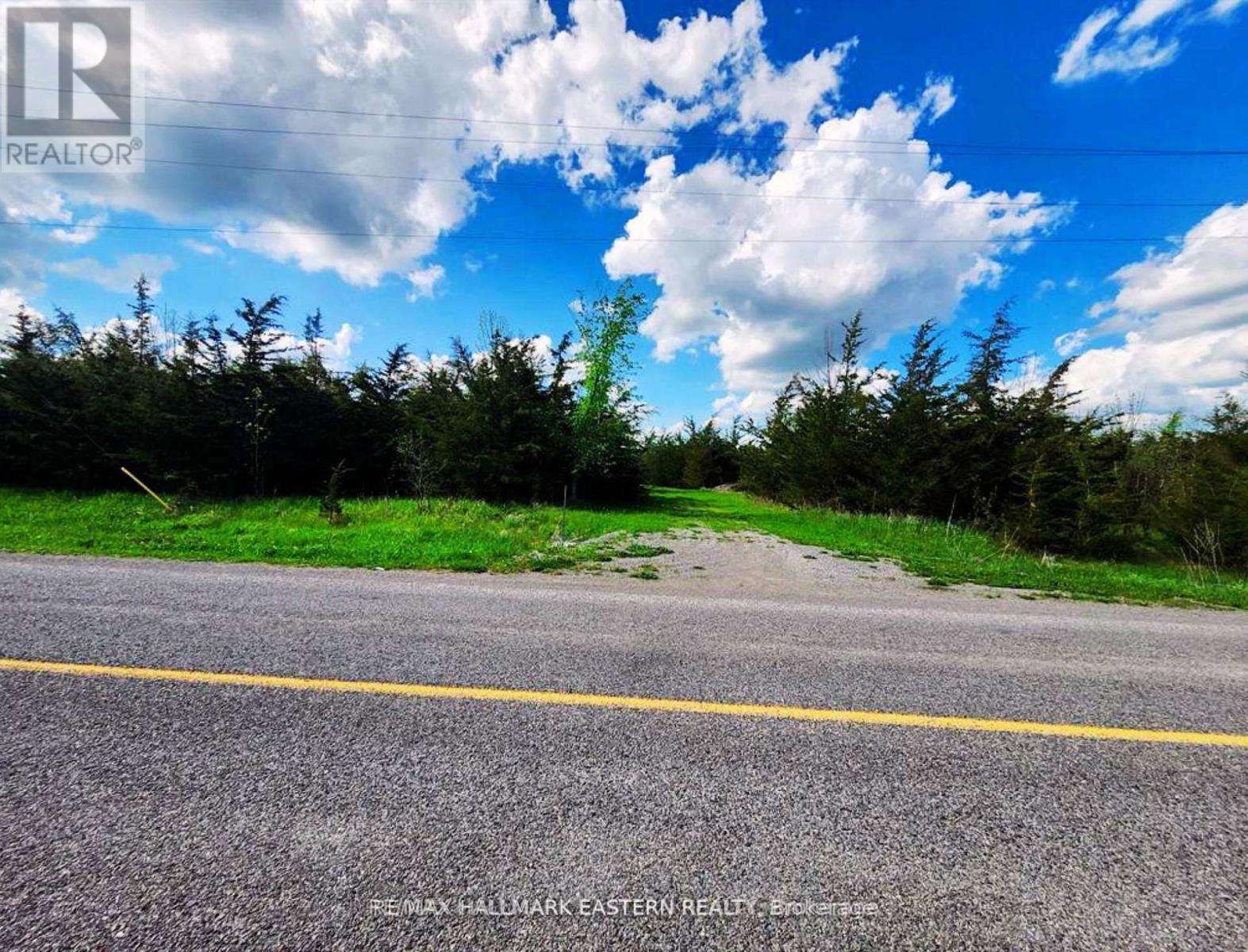 2098 13th Line E, Trent Hills, Ontario  K0K 2M0 - Photo 5 - X13710630