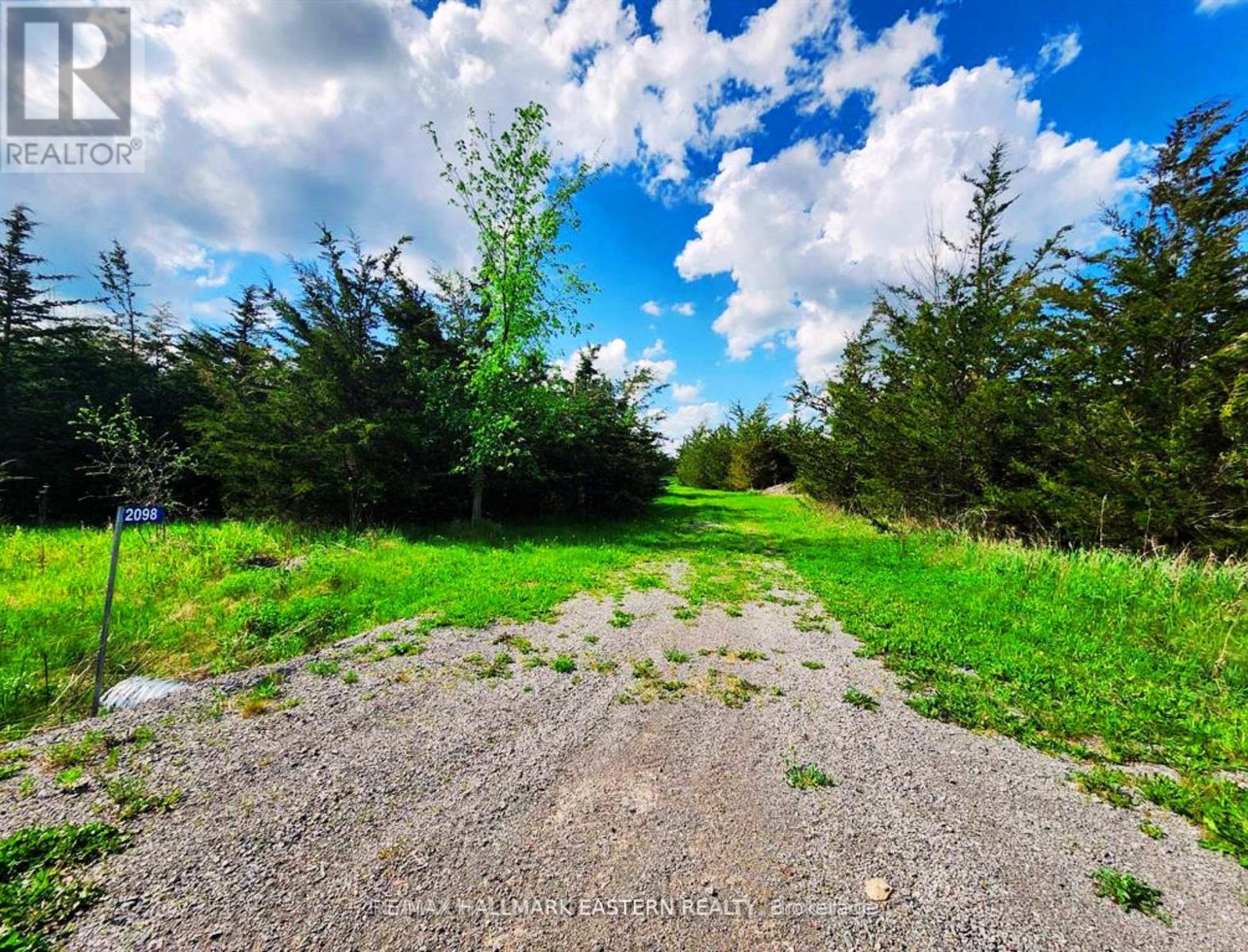 2098 13th Line E, Trent Hills, Ontario  K0K 2M0 - Photo 6 - X13710630