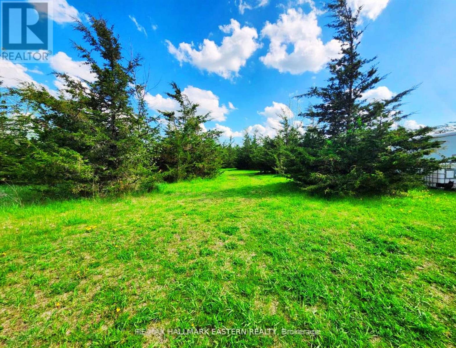 2098 13th Line E, Trent Hills, Ontario  K0K 2M0 - Photo 7 - X13710630