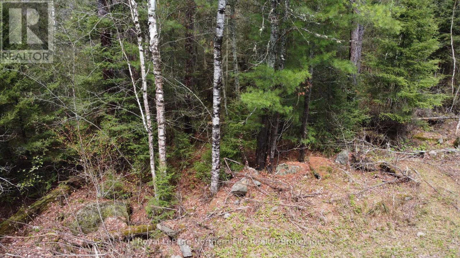 Lot 16 Part 2, Suzannes Road, Calvin, Ontario  P0H 1V0 - Photo 7 - X13710620