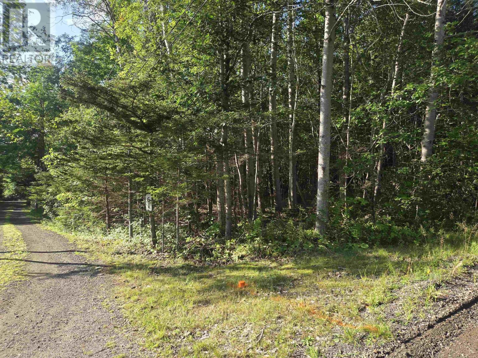 Lot 7 Benson Avenue, Bear River, Nova Scotia  B0S 1B0 - Photo 15 - 202621062
