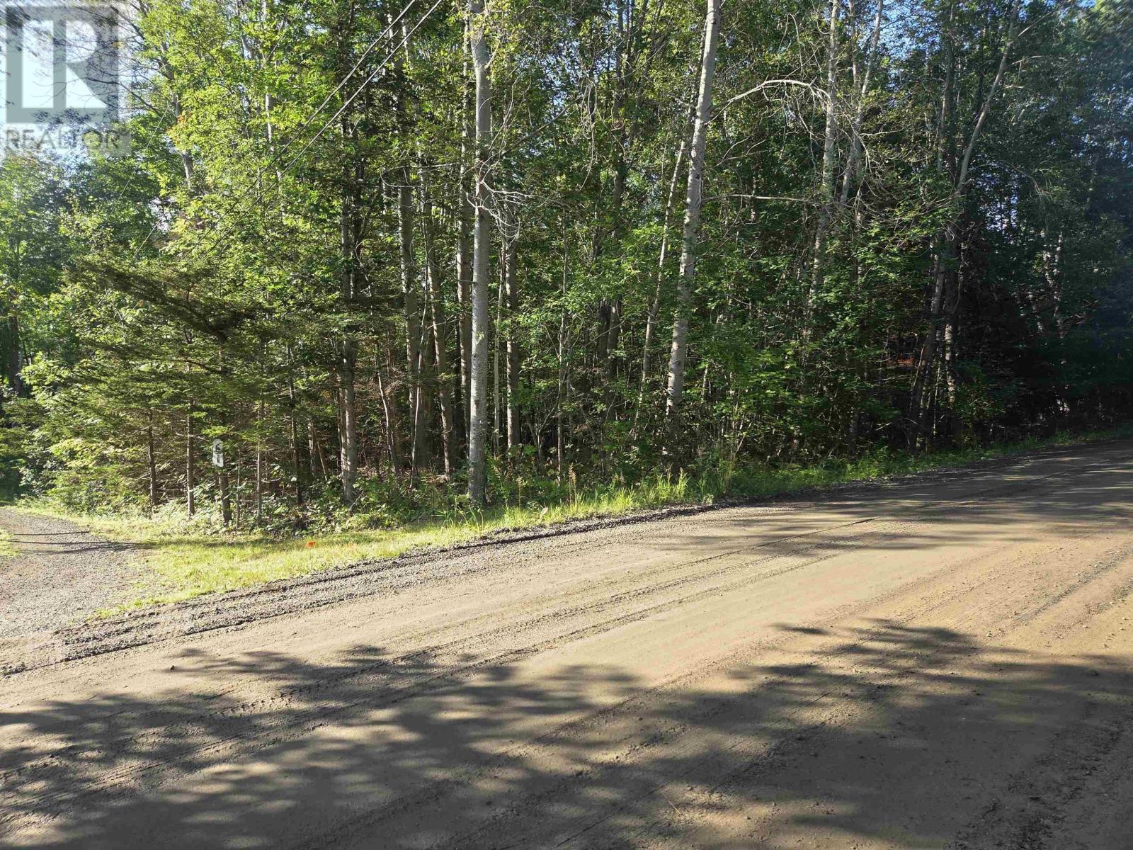 Lot 7 Benson Avenue, Bear River, Nova Scotia  B0S 1B0 - Photo 16 - 202621062