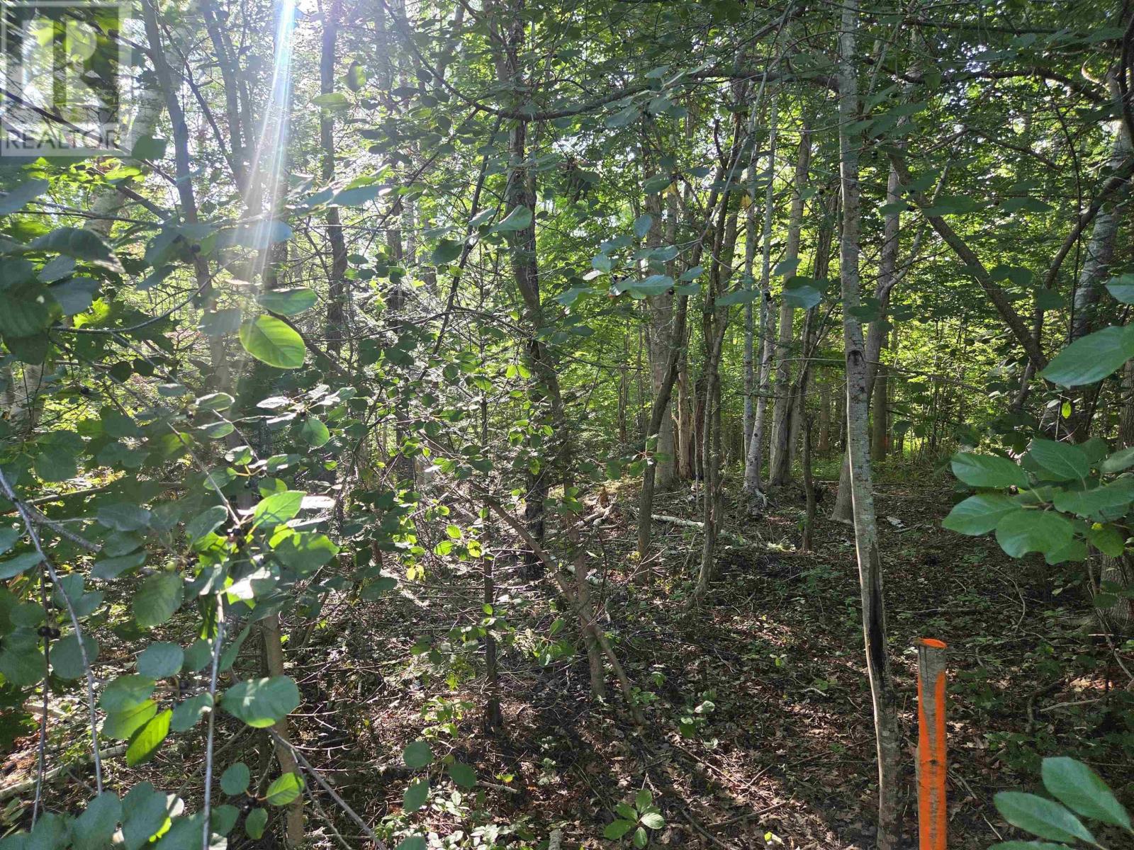 Lot 7 Benson Avenue, Bear River, Nova Scotia  B0S 1B0 - Photo 17 - 202621062