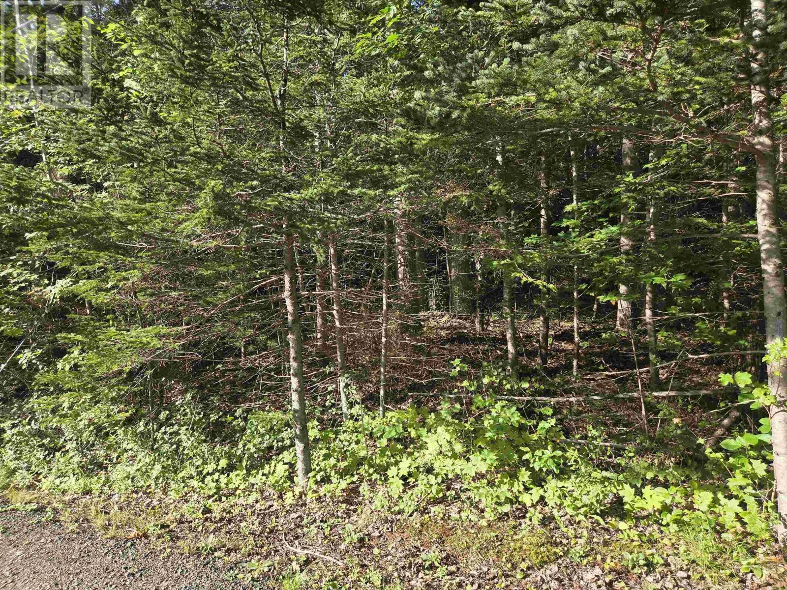 Lot 7 Benson Avenue, Bear River, Nova Scotia  B0S 1B0 - Photo 18 - 202621062