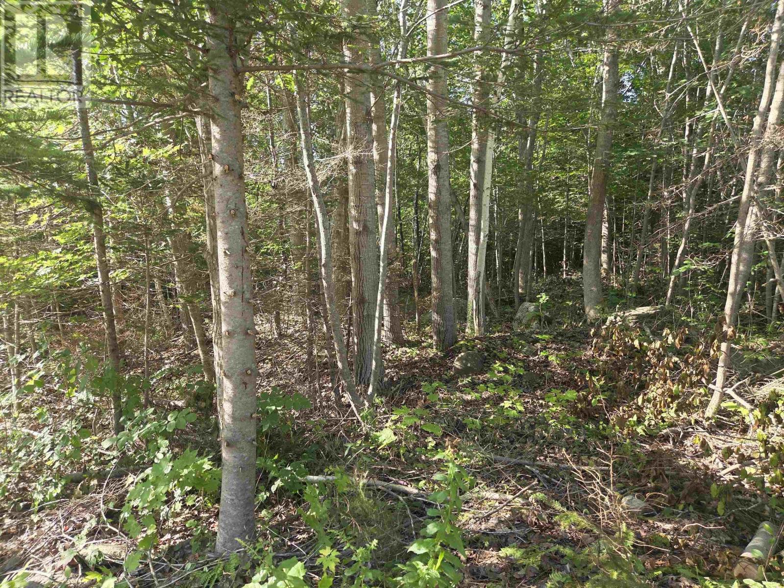Lot 7 Benson Avenue, Bear River, Nova Scotia  B0S 1B0 - Photo 20 - 202621062