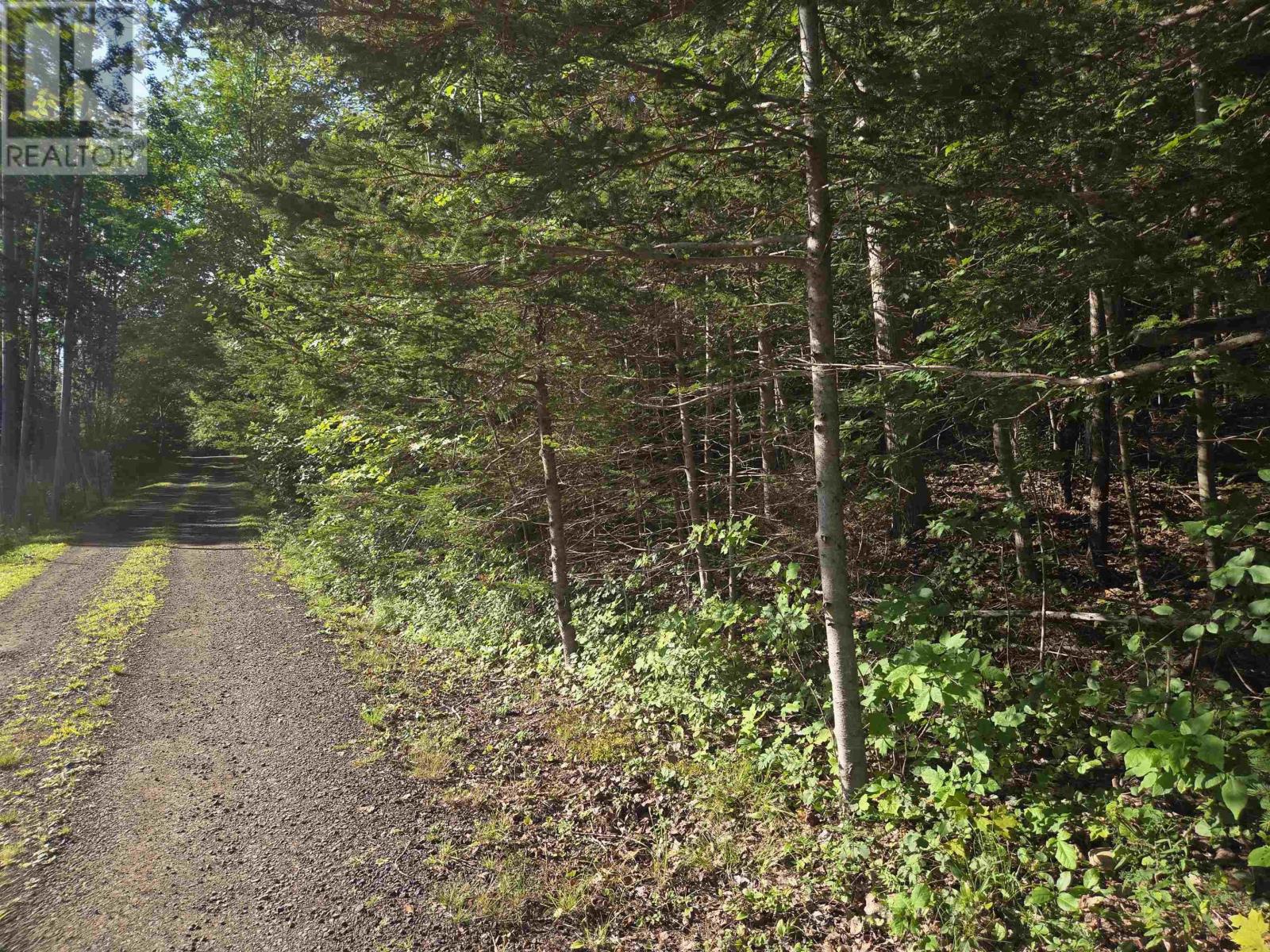 Lot 7 Benson Avenue, Bear River, Nova Scotia  B0S 1B0 - Photo 23 - 202621062