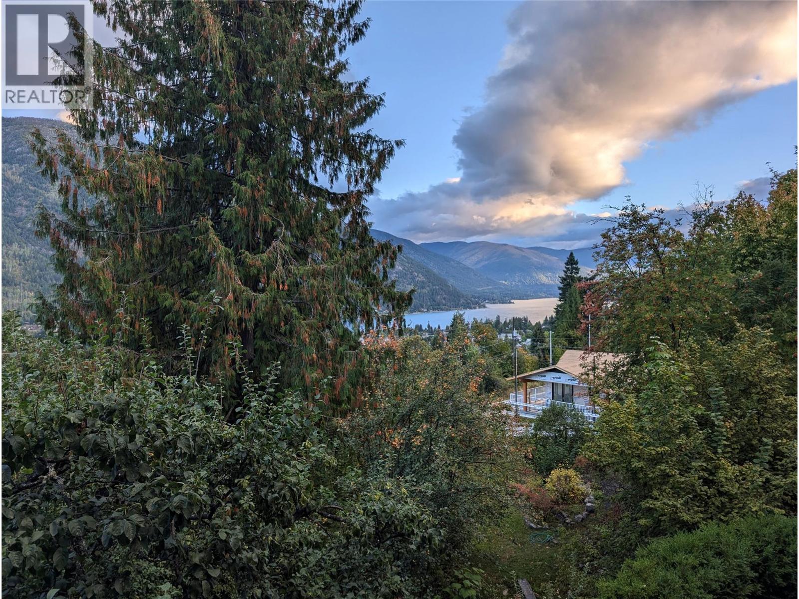 711 Regent Street, Nelson, British Columbia  V1L 5W5 - Photo 7 - 10390685