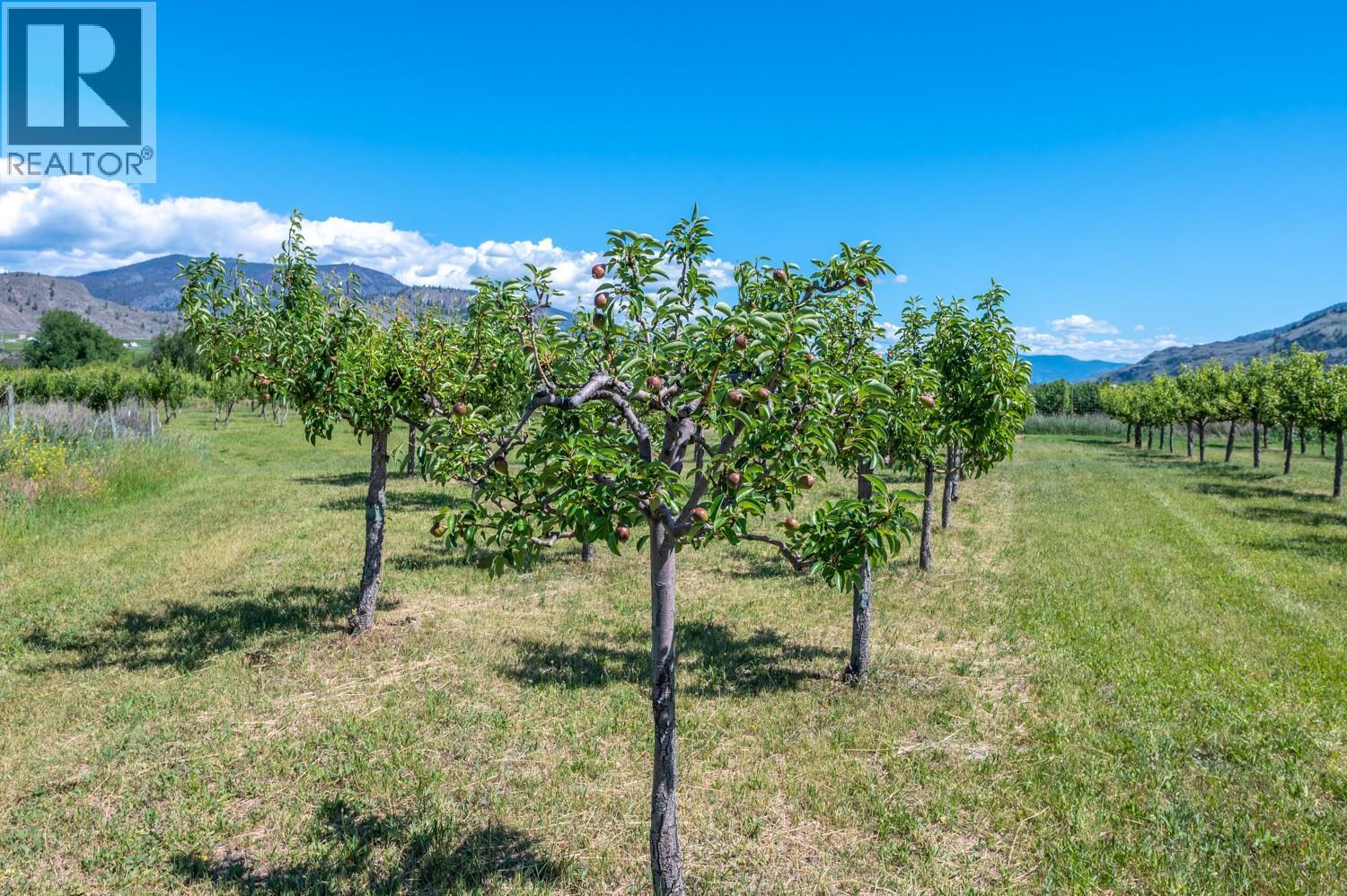 294 Road 18 Road, Oliver, British Columbia  V0H 1T1 - Photo 37 - 10391160