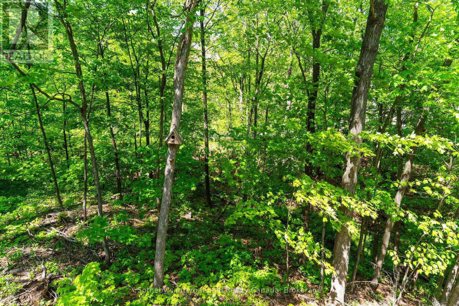 180 Clairmont Road, Gravenhurst, Ontario  P1P 1H9 - Photo 23 - X13710686